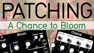 Patching: A Chance to Bloom (Patch from scratch)