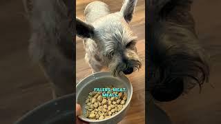 I tried The Honest Kitchen Whole Grain Clusters Today. #TheHonestKitchen #DogFood #DogDiet