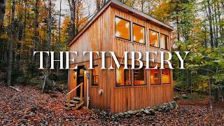 Secluded Hand Built Tiny House in the Forest Full Tour!