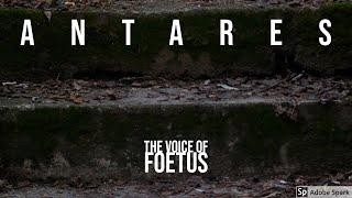 Antares - The Voice of Foetus (single song)