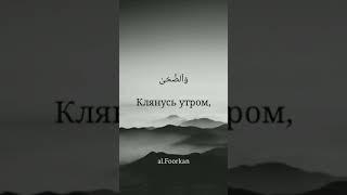 Мухаммад Аргунский (ад-Духа) / Muhammad Argunskiy