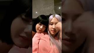 Rosé and Lisa (of Blackpink w/ kitty) Instagram Live {7.18.20 est}