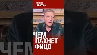 У премьера словакии проблемы после встречи с путиным #невзоров