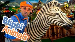 Blippi Explores Jungle Animals | Kids Show | Toddler Learning Animals