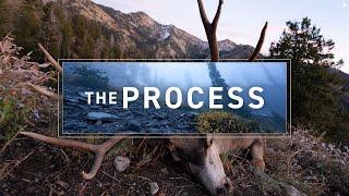 “The Process" – A Mountain Mule Deer Hunt