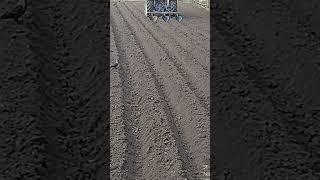 #shortvideo #shorts #youtuber #sugarcan sowing rijer rows #mk india tech 99