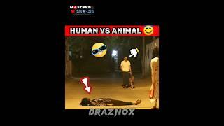 POV:-HUMAN VS ANIMAL || hanuman | #hanumanji #bajrangbali #ghost #prank #viral #video