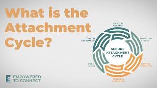 The Attachment Cycle