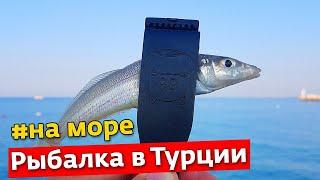 Рыбалка в Турции | Июль 2021 | Анталия, Белек