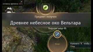 Black Desert Online - Древнее небесное око Вельтара