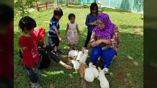 Must Visit Sabah - 1 : Bunnies Secret Garden