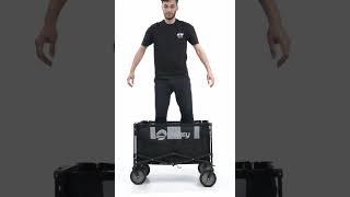 Sekey collapsible folding wagon with 220lbs Weight Capacity