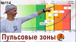 О сложном простыми словами: Пульсовые зоны – что это такое и  как определить самому?