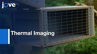 Thermal Imaging to Study Stress in Unrestrained Birds | Protocol Preview