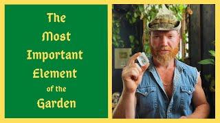 Doing THIS Eliminates 90% of Problems In The Garden - PLUS Garden Tour!