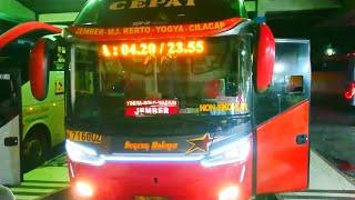 bus Sugeng Rahayu PATAS jurusan Jember