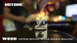 HOTONE WOOD Acoustic Guitar Simulator demonstration by Guitarcube