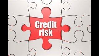 Credit Risk analysis simplified