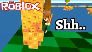 ROBLOX SKYWARS CAMOFLAUGE TROLLING