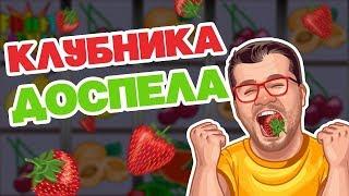 КАЗИНО ВУЛКАН   ВОТ ЭТО УРОЖАЙ! 900 тысяч на клубнике  Попалась шикарная бонуска в казино онлайн