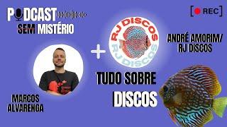 PODCAST SEM MISTÉRIO - APRENDENDO SOBRE DISCO ft RJ DISCOS #ep2