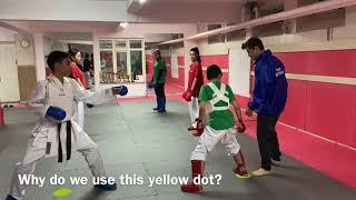 WKF Kumite Training - Dehai Training