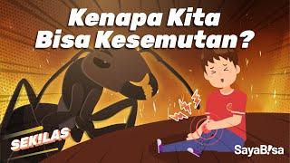 Kenapa Kita Bisa Kesemutan? | SeKiLas