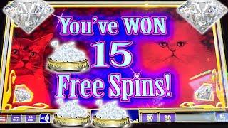 Last Slot Machine Leads to Kitty Glitter JACKPOT