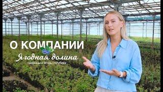 О компании "Ягодная долина" | About Yagodnaya dolina LLC