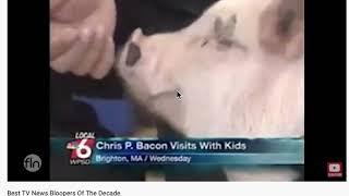 CHRIS P  BACON - BEST NEWS BLOOPER OF ALL TIME