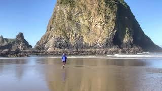 Haystack Rock Sneaker Wave gets us both