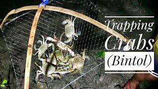 CRABS TRAP (BINTOL) | CATCH AND COOK | BOHOL PHILIPPINES