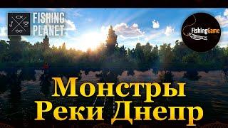  Fishing Planet. Монстры реки Днепр - Вирозуб-Шипоріз (Украина) 