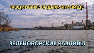 Жодино и его окрестности | Осенняя рыбалка 2021 | Рыбалка в Беларуси | Fishing in Belarus