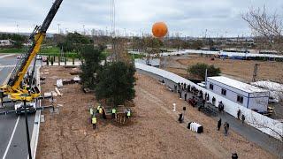 Heritage Tree Planting Ceremony at the Great Park - 2025