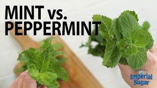 The Difference Between Mint & Peppermint