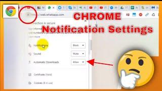 How To Change (e.g. Sound, Notification, Cookies ...) for Each Website On Google Chrome Browser?