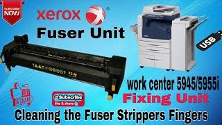 XEROX WORKCENTRE 5945/5955 | FUSER UNIT | Cleaning the fuser Strippers Fingers |  P C TECH  AND INFO