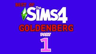 Best of Goldenberg | The Sims 4 Clip Compilation Part 1 | SimmerGamerT