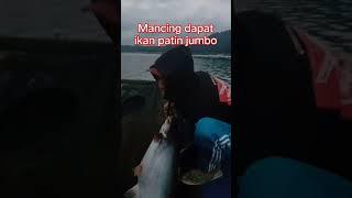 Mancing dapat ikan patin jumbo #mancing #shortviral