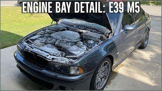 Engine Bay Detail: E39 M5 Full Detail (EP. 1)