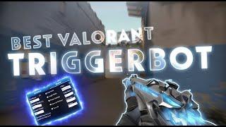 VALORANT TRIGGERBOT NO BAN / FREE