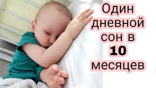 Переход на Один Дневной Сон в 10 Месяцев || Мой Опыт