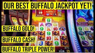 WE PLAYED 3 BUFFALO SLOTS AND GOT OUR BIGGEST BUFFALO JACKPOT EVER!