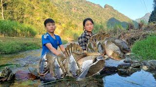 Orphan boy and mute girl trapping fish with bamboo baskets for sale - Cooking | Boy orphaned parents