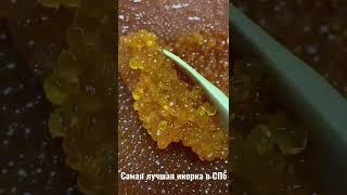 Самая лучшая и вкусная икорка в СПБ.   #невскиеделикатесы   #краснаяикра