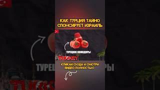 КАК ТУРЦИЯ СПОНСИРУЕТ ИЗРАИЛЬ? СЛОЖНАЯ ЭКОНОМИКА ПРОСТЫМИ СЛОВАМИ #новости