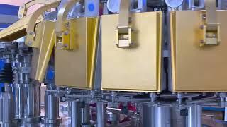 Rotary vacuum packaging machine with nitrogen gas filling system