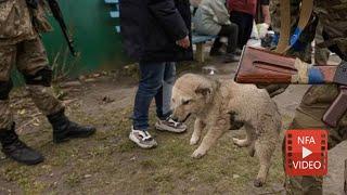 Russia is about to send thousands of troops into Ukraine. ANIMALS ARE IN DANGER!