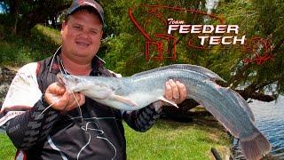 Feeder Tech Team fishing on the Vaal River - part II.